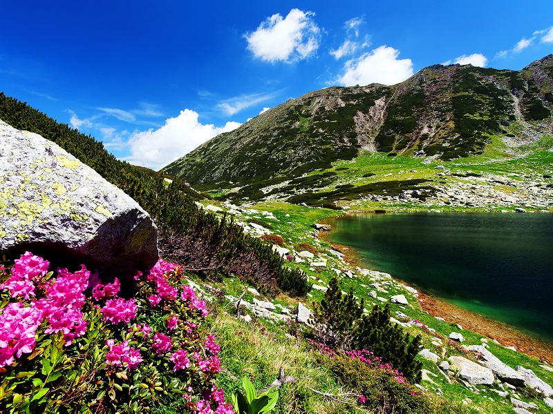 5 Atractii Turistice Din Romania Pe Care Sa Le Vizitezi Vara