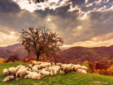 7 destinatii din Romania unde toamna este si mai frumoasa