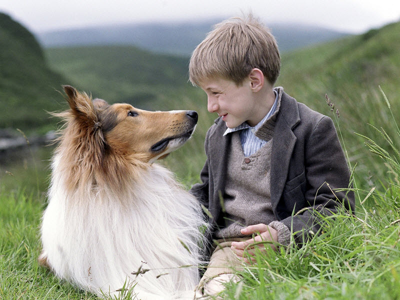 lassie film