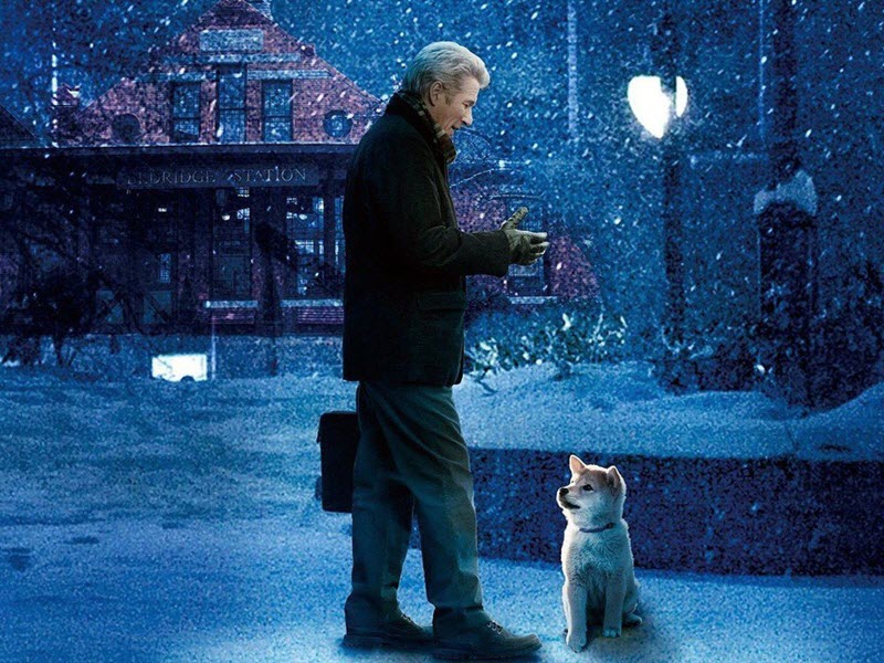 hachi a dog's story film